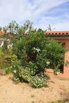Apartments With A Parking Space Veli Losinj (losinj) - 8029