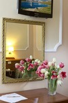 Hotel Continentale