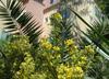 Bed & Breakfast Coste D'or