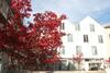 Hotel Engl