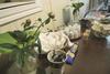 Hostal Mj�llbyhus Pensionat & Stugby