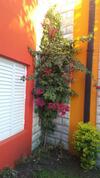 Apartamento Costas Del Paraiso