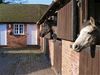Hotel Church Farm