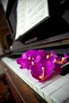 Bed & Breakfast Arts And Music
