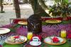 Hotel Maruba Resort & Jungle Spa