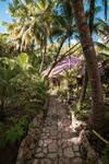 Hotel Maruba Resort & Jungle Spa