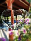 Apartamento Oasi San Pio