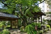 Hotel The Prince Sakura Tower Tokyo