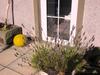 Causeway Smithy B&B