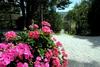 Apartamento Agriturismo Villa Mozart