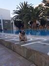 Aparthotel Annita's Village Hotel