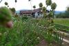 Agroturismo Ferienhof Pfeffer