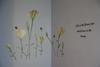 Apartamento Beatriz