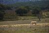 Agroturismo Tambor Del Llano