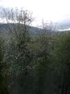 Holiday Home Tihiy Dvor