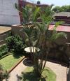 Hotel San Antonio Abad
