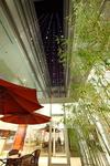 Hotel Kapok - Forbidden City
