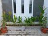 Hostal Griya Widhi Guest House
