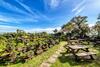Hotel Olleyo Resort