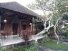 Hostal Nyoman Sandi Guest House