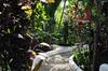 Hostal Teblin Oasis Villa Ubud Bali