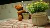 The Big Bear Home