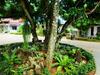 The Krabi Forest Homestay