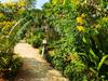 The Krabi Forest Homestay