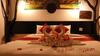 The Krabi Forest Homestay