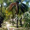 Hotel Sand Sea Resort