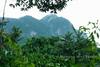 Hotel Khao Sok Morning Mist Resort