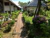Hotel Sunrise Bungalow