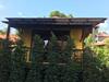 Hotel Ricci House Resort