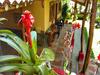 Hotel La Casa Que Canta