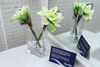 Hotel Albah�a Alicante