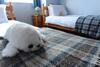 Apartamento Decca - Self Catering Shetland