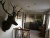Bed & Breakfast Ranvilles Farm House