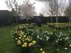 Bed & Breakfast Ranvilles Farm House