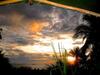 Hotel Guaria De Osa Ecolodge