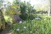 Bed & Breakfast Kurlandpark