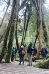 Lodge Caba�as Parque Tepuhueico