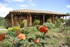 Hostal Finca El Recreo
