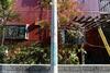 Albergue Grapehouse Koenji