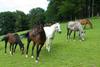 Familienhotel Die Hochrie�