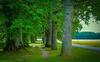 Hotel Natural Wellness Center Biospa