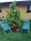 Hostal Pensiunea Vladut Timisoara
