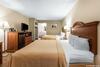 Hotel Quality Inn And Suites Dollywood