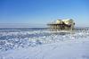 Apartamento H�s Am Wall - Reetdachapartments - St. Peter Ording
