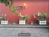 Bed & Breakfast Villa Chiarenza Maison D'hotes