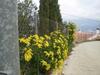 Agroturismo La Atalaya De Los Romanes